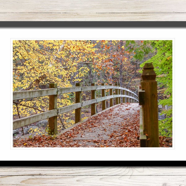 Fall Foliage Photo Instant Download, Printable Photo Wall Art, Autumn Photo, Fall Wall Art, Digital Download Photography, Fall Landscape