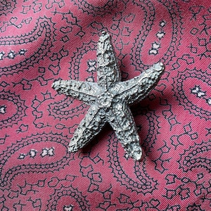 Vintage silver tone starfish brooch.