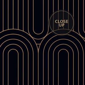 Black Gold Art Deco Wallpaper | Geometric Arch Wall Mural image 5