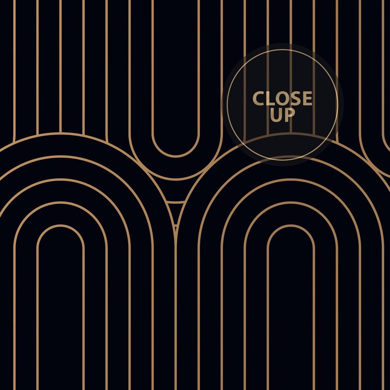 Black Gold Art Deco Wallpaper | Geometric Arch Wall Mural image 5