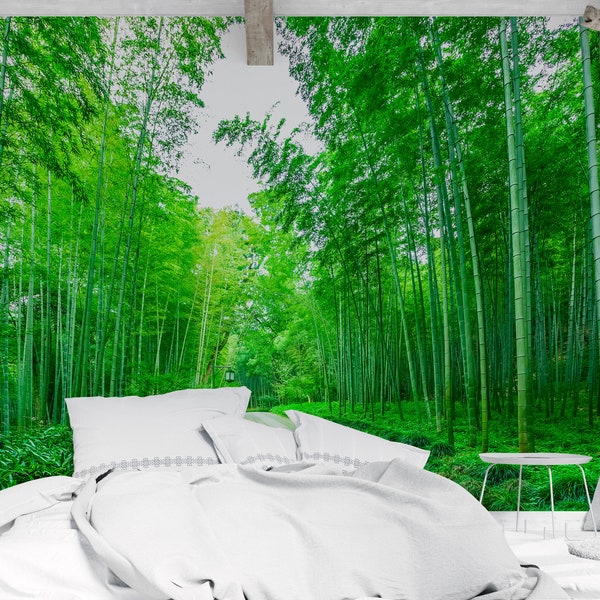 Forest Landscape Wallpaper, Bamboo Trees Wallpaper, Nature Wallpaper, Forest Road Wallpaper, Peel and Stick Wallpaper Mural Traditional