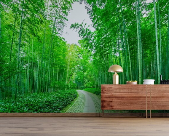 Forest Landscape Wallpaper Bamboo Trees Wallpaper Nature - Etsy Forest Landscape Wallpaper Bamboo Trees Wallpaper Nature - Etsy