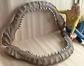 Megalodon Shark Jaw Life Size Fossil Giant Carcharodon Replica With Teeth for Display & Collectibles