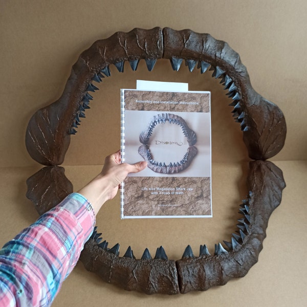 Shark Jaw - Etsy