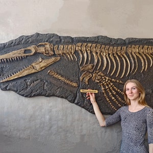 Mosasaurus Skeleton Fossil 15 FT Long -Full LifeSize Mosasaur Replica -Rich History of Earth's Ancient Oceans in Your Home or Office Display
