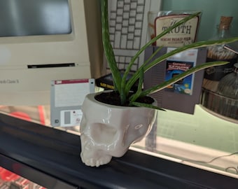 Totenkopf Blumentopf / Übertopf