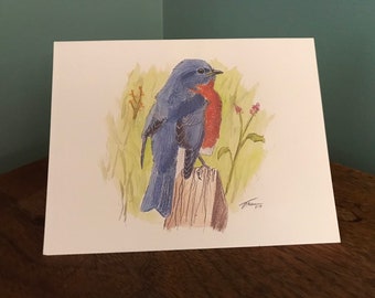 Eastern Bluebird Note Card Set