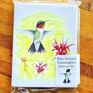 Ruby-throated Hummingbird Notecard Set