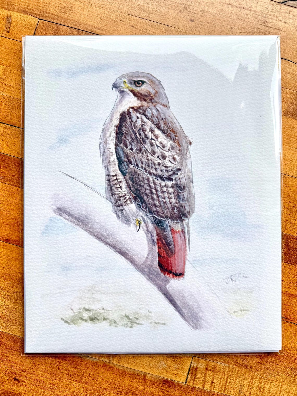 Hawk Rip Print Red-tailed Hawk Fine Art Print - Etsy