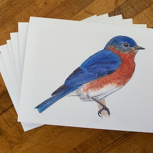 Bluebird Gift Watercolor Artwork Notecard Cheery Spring Gift for Bird Lover Bird Stationery for Nature Lover Writing Letters