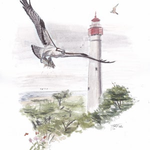 Osprey at Cape May Lighthouse Fine Art Print