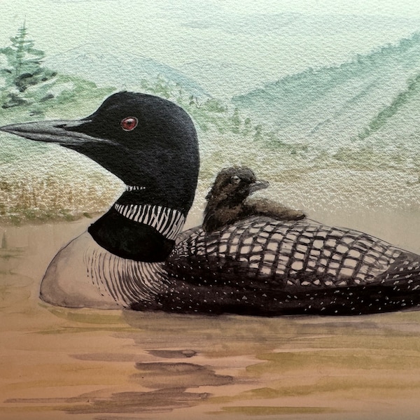 NEW! Common Loon Fine Art Print - unmatted