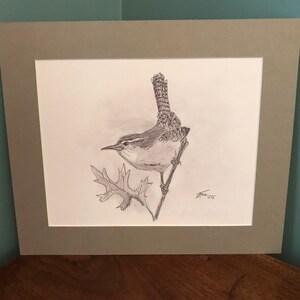 Carolina Wren Fine Art Print