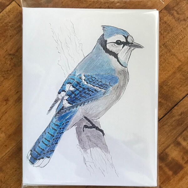 Blue Jay Note Card Set