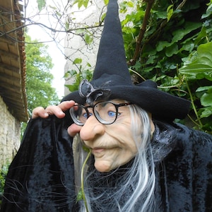 May include: A witch costume with a black pointed hat, a black velvet robe, and a white wig. The witch is wearing glasses and has a large, exaggerated nose.