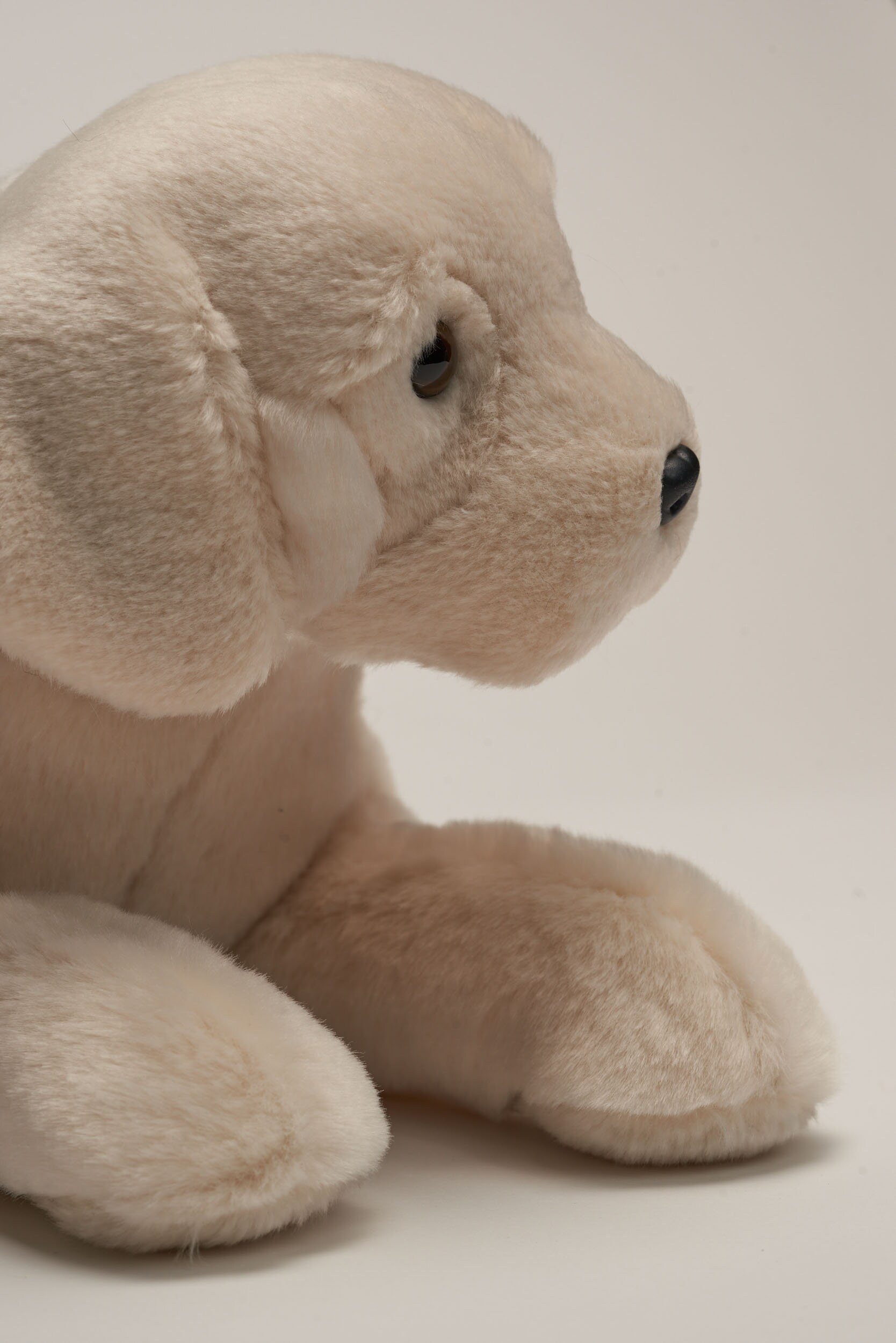 Peluche Cani Labrador | Confronta prezzi