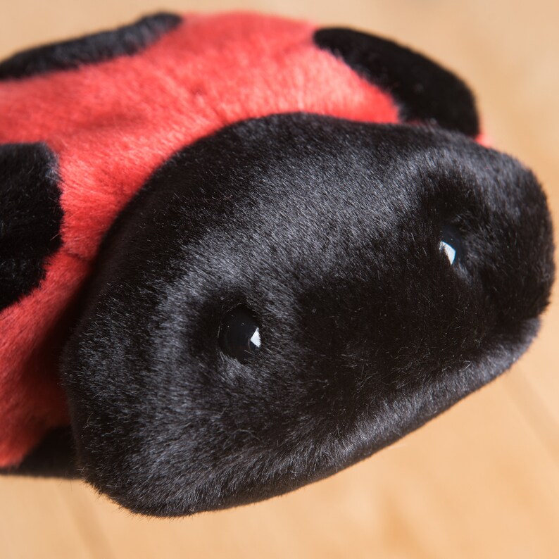 Ladybug 22 cm, ideal for birth gift, big plush hand stitched, realistic and very soft 画像 5