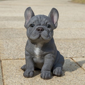 25cm Bull Dog Bulldog Puppy Pup Garden Outdoor Indoor Ornament Figurine Statue 25cm Bull Dog Bulldog Puppy Pup Garden Outdoor Indoor Ornament Figurine Statue