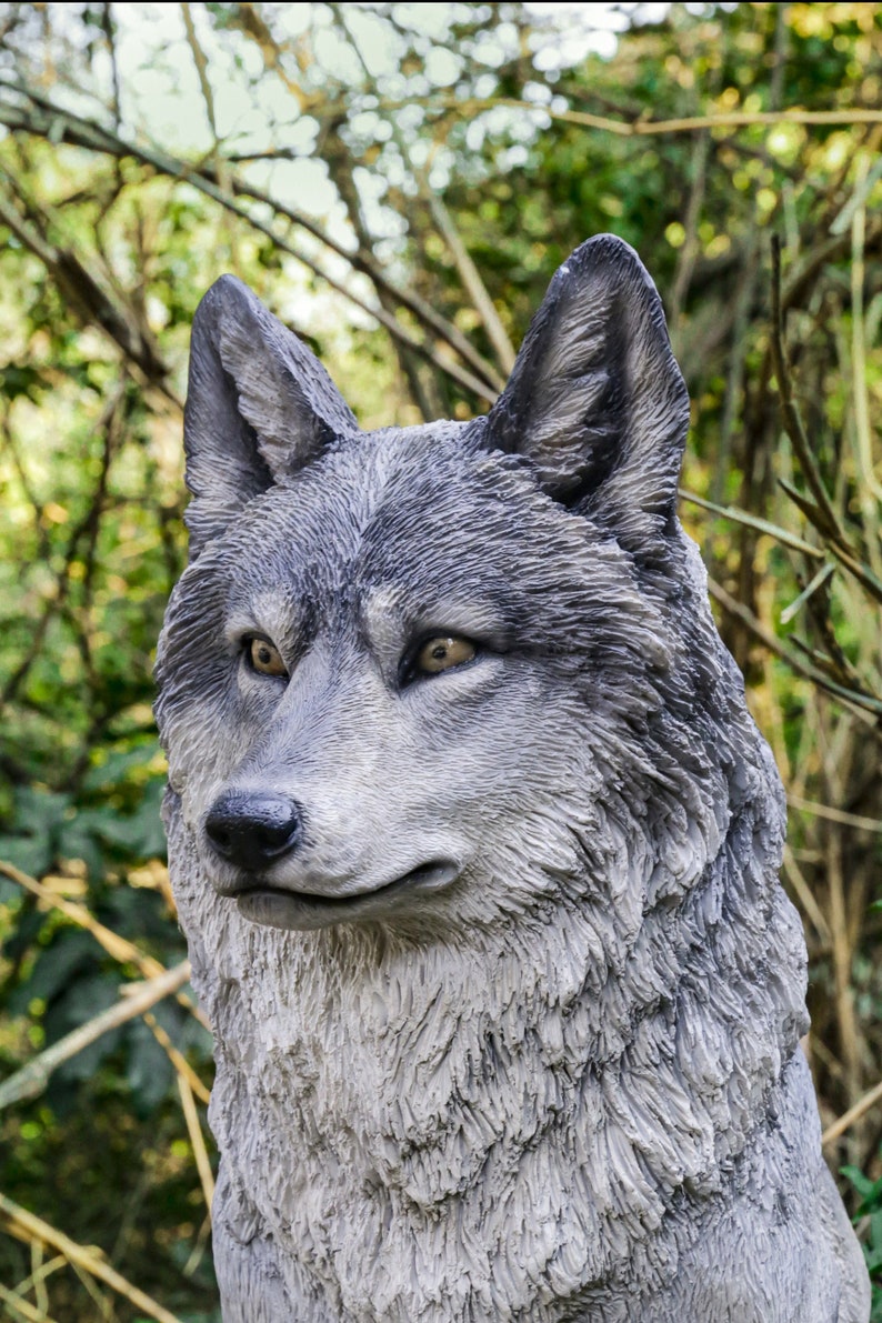Sitting Grey Wolf Statue hiline Exclusivegarden Statue Etsy