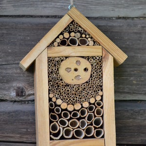 Bugs hotel