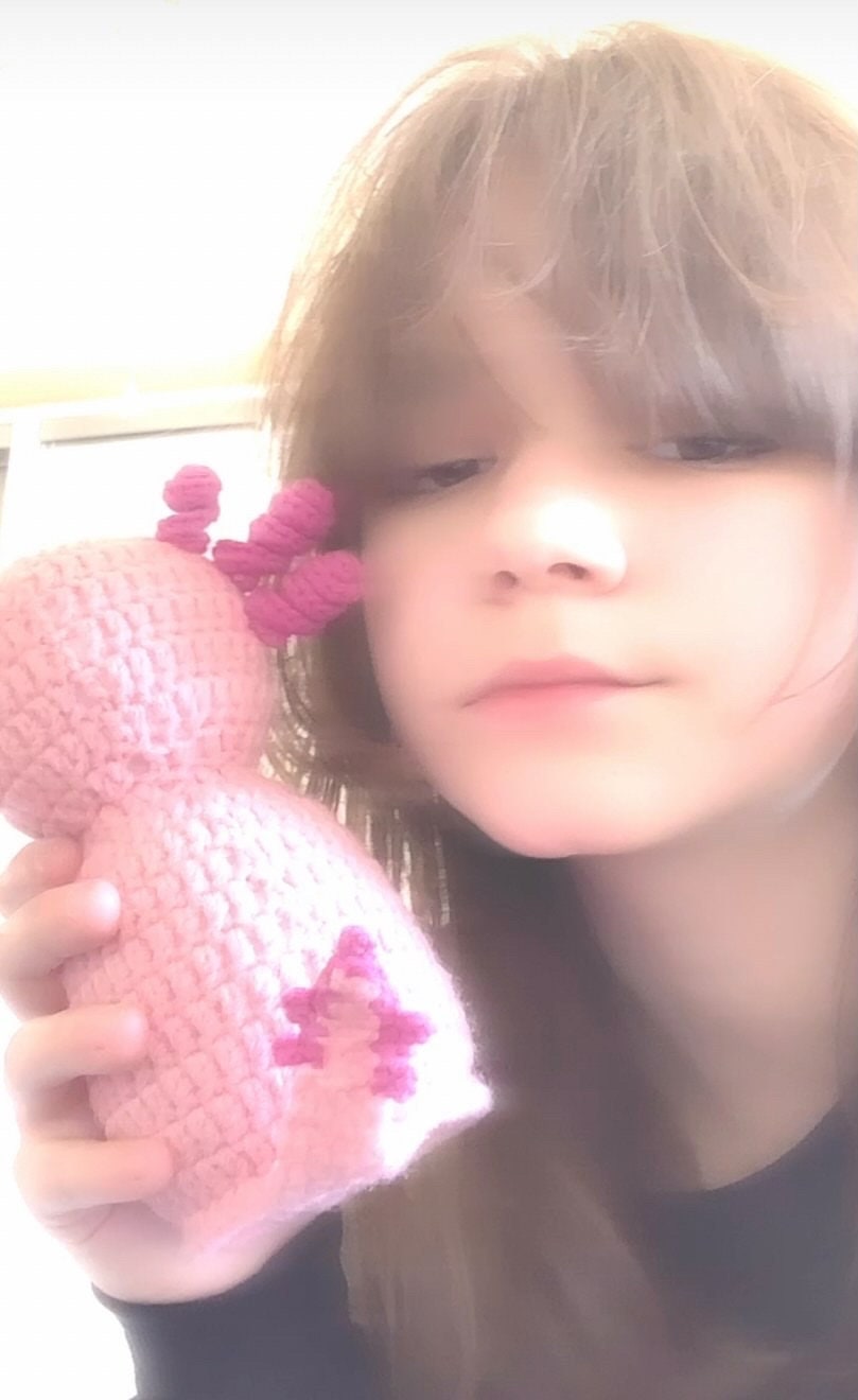 Inspired by Minecraft Axolotl crochet plush toy Etsy