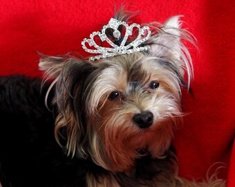 diy dog tiara