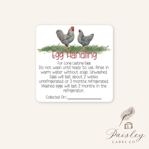 Egg Handling Care Instructions Carton Stickers Farm Fresh Chicken Eggs Square Labels Sheet of 12