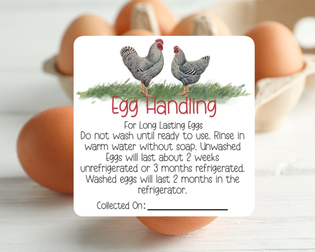 Egg Handling Care Instructions Carton Stickers Farm Fresh Etsy Egg Handling Care Instructions Carton Stickers Farm Fresh Etsy