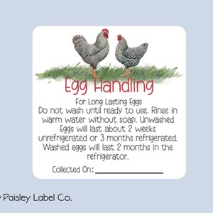 Egg Handling Care Instructions Carton Stickers Farm Fresh Chicken Eggs Square Labels Sheet of 12
