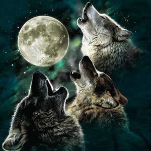 Wolf # 15 -  T Shirt Heat Transfer - Wolves