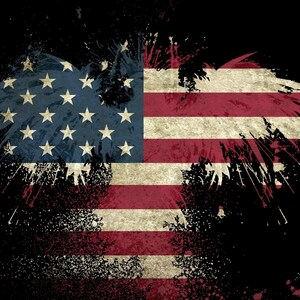 eagle  -(12)- T Shirt Heat Transfer - American Flag