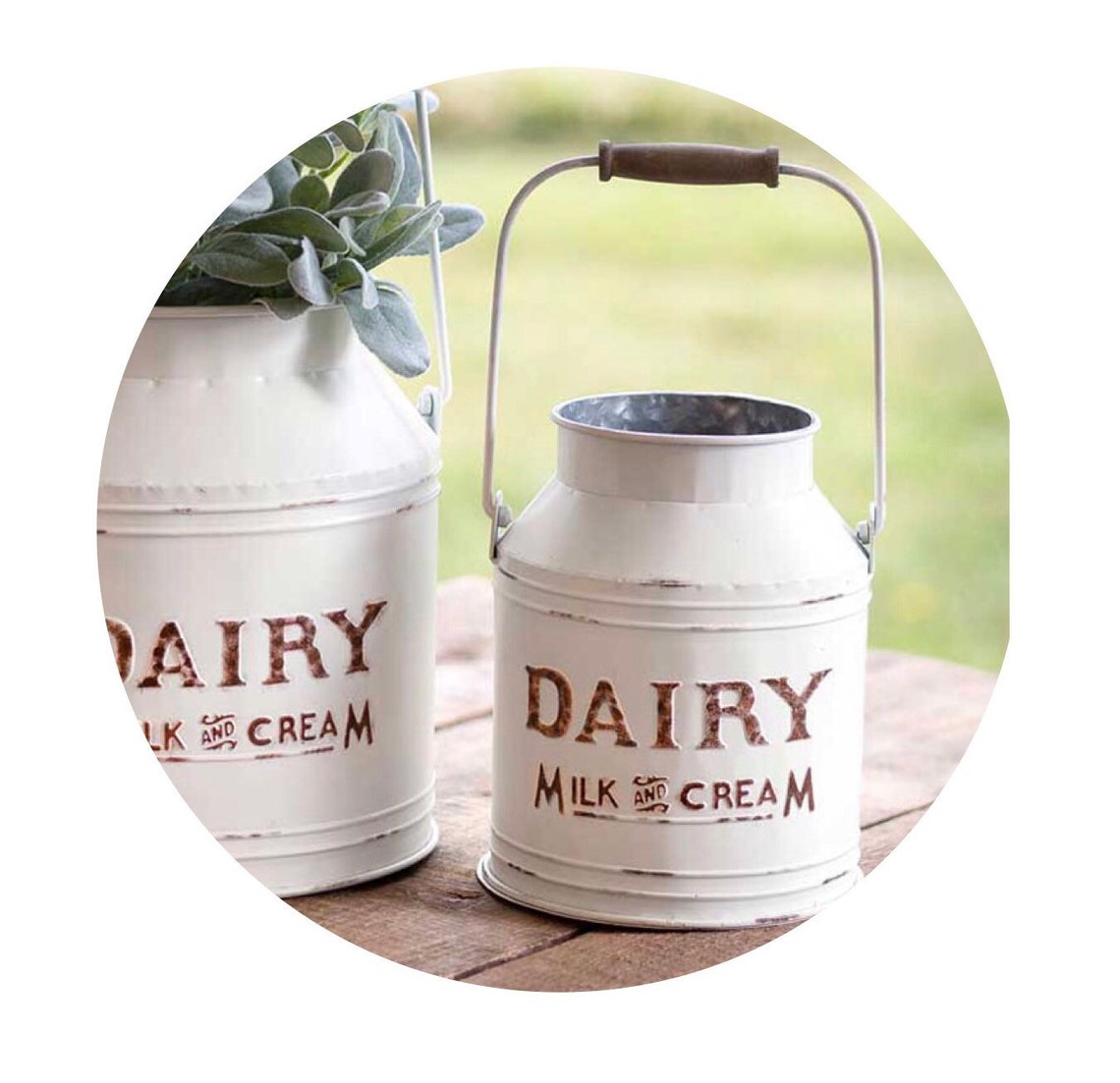 Dairy Milk Buckets Storage Containers White Dairy Buckets Etsy