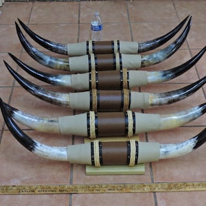 Steer horns 3&#39; - 3&#39;5&quot; mounted LONGHORN Steer horns BULL horns cow horns cattle horns (1 only)