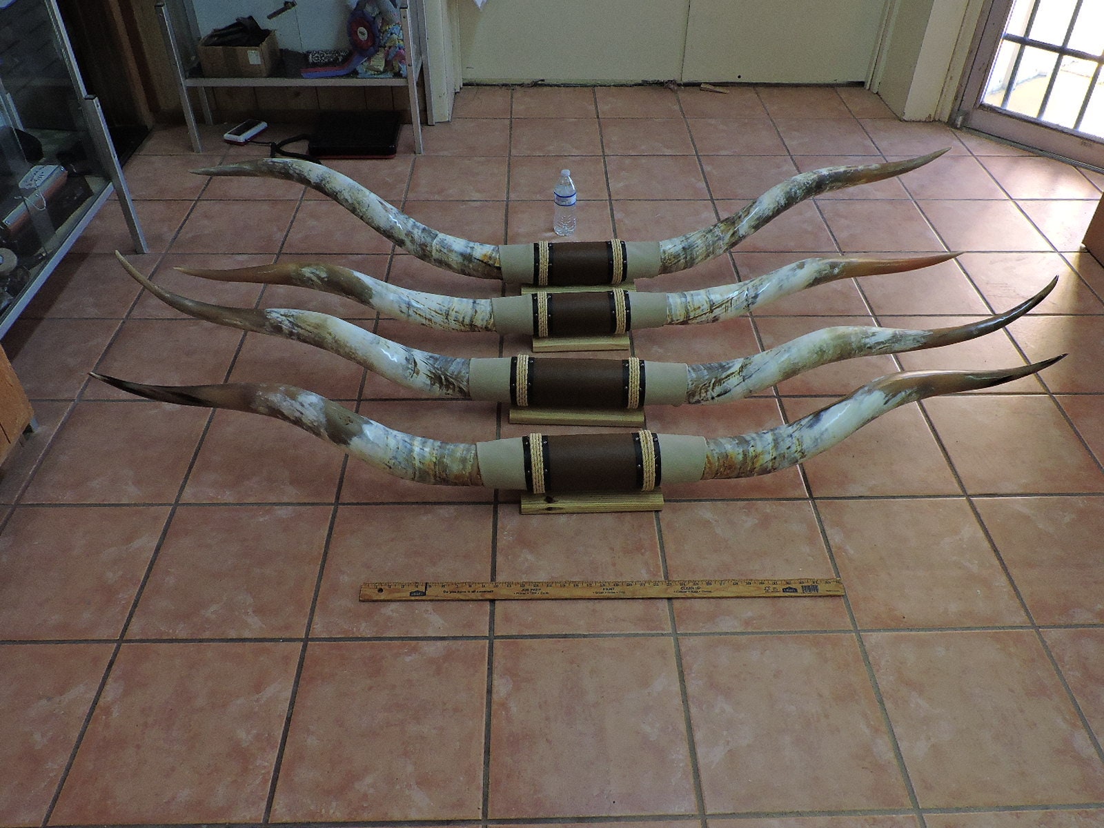 Steer horns 7' 7' 5 mounted LONGHORN Steer Etsy