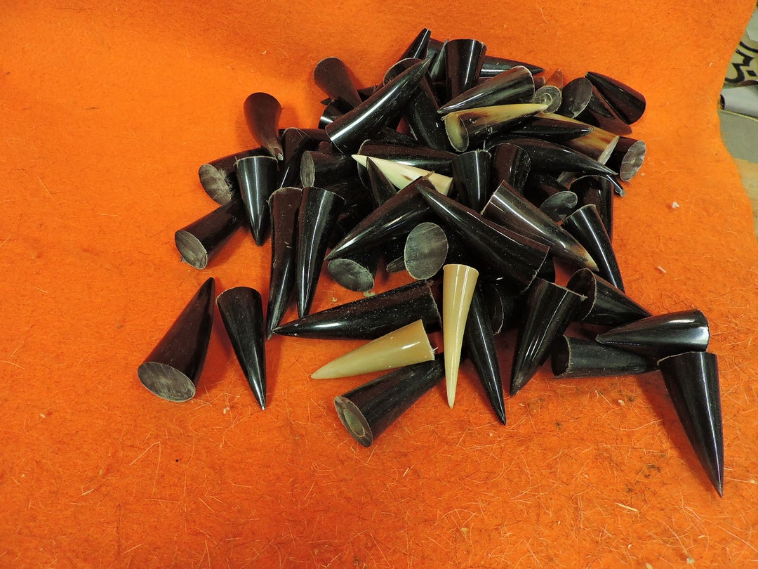25 Polished Horn Tips UNDER 3 Inches Etsy