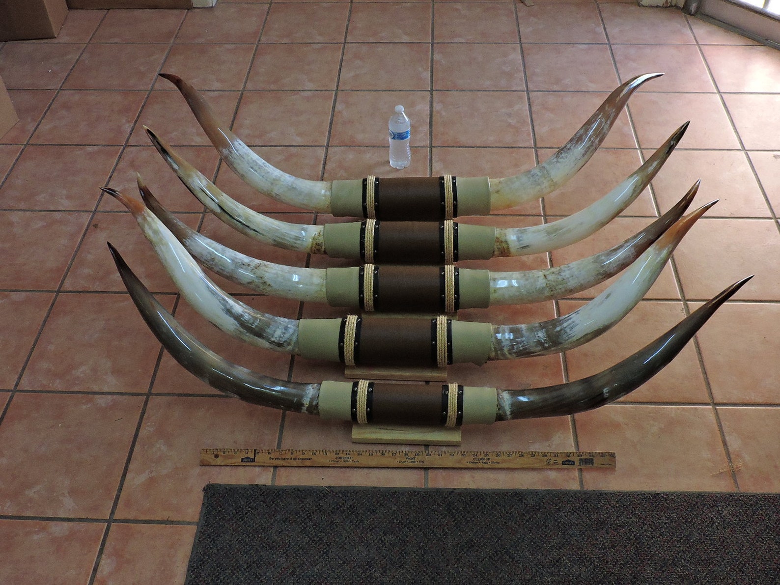 Steer horns 4' 6 4' 11 mounted LONGHORN Etsy