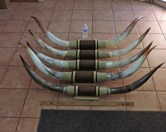 Steer horns 4' 6"- 4'11"' mounted LONGHORN Steer horns BULL horns cow horns cattle horns (1 only)