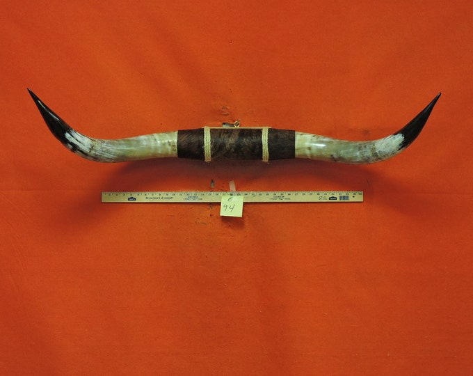 94 MOUNTED STEER Horns 4 Ft 5 in Huge Big Bull Horns Etsy