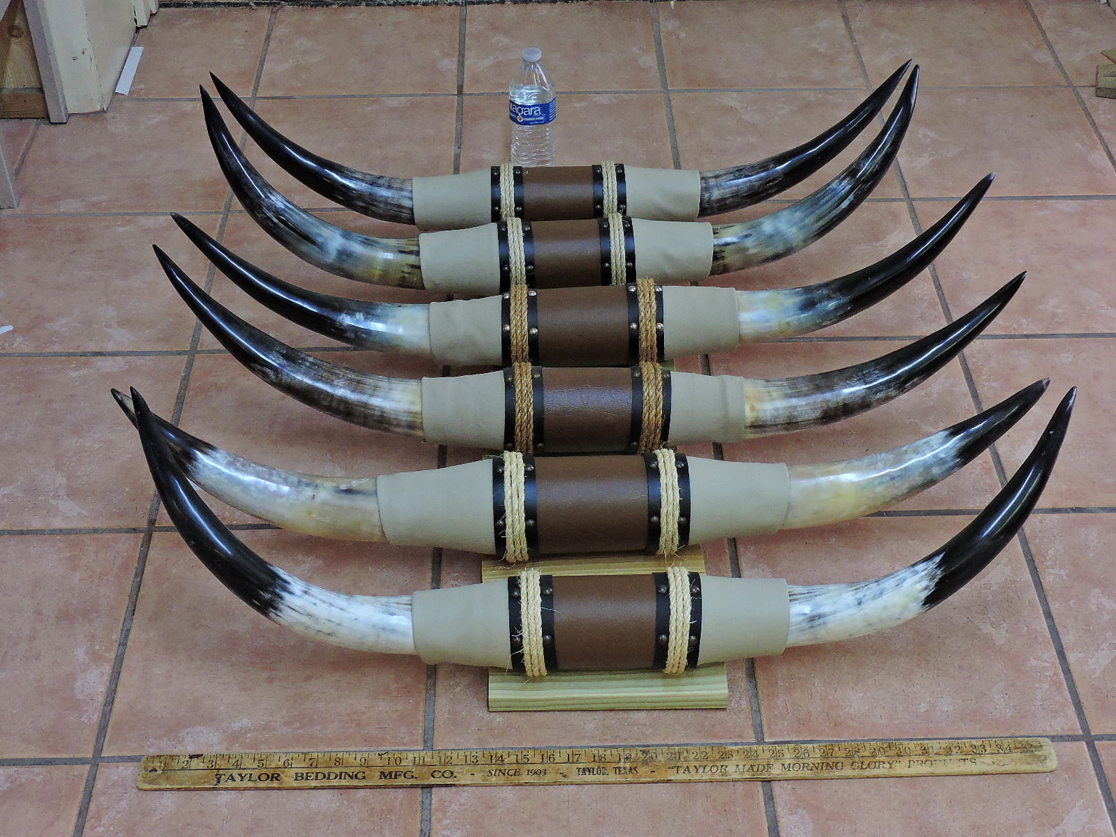 Steer horns 3' 3'5 mounted LONGHORN Steer Etsy