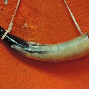 Viking Blowing Cow Horn Medieval Hunting Dog Horn 10-13 Inches
