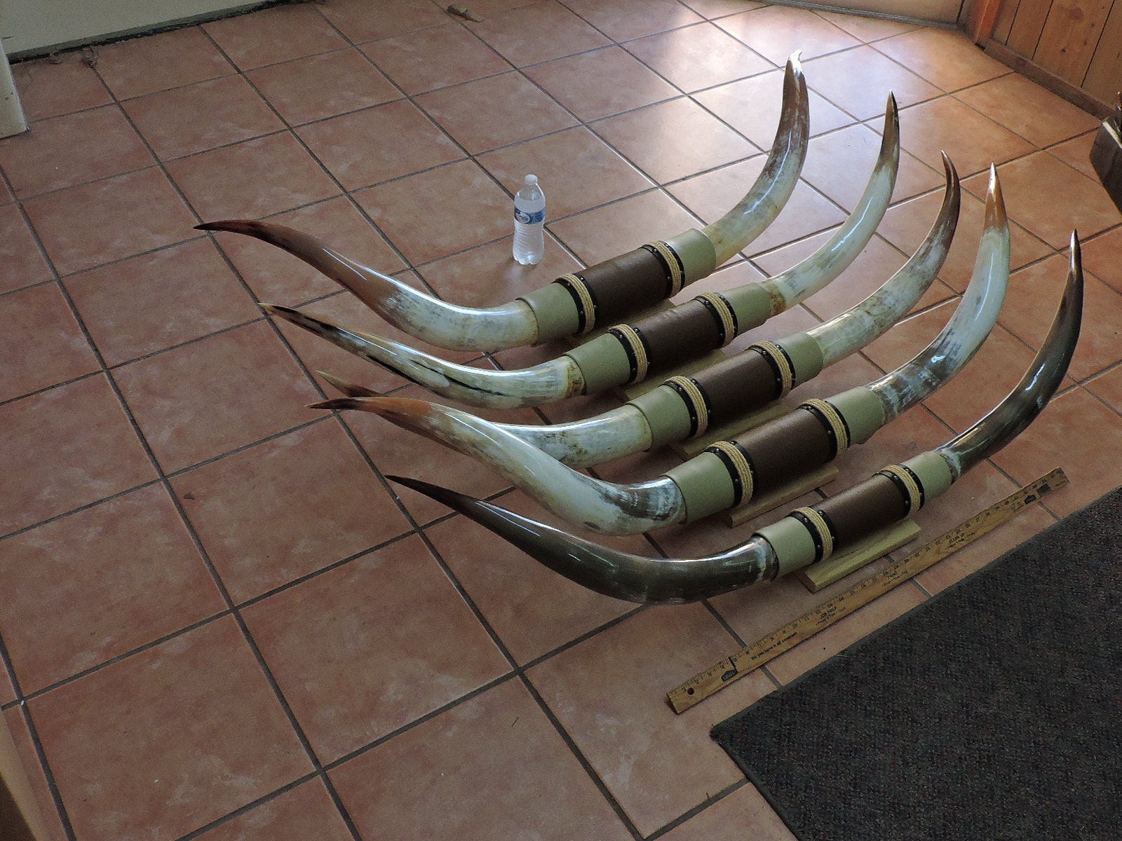 Steer horns 4' 6 4' 11 mounted LONGHORN Etsy