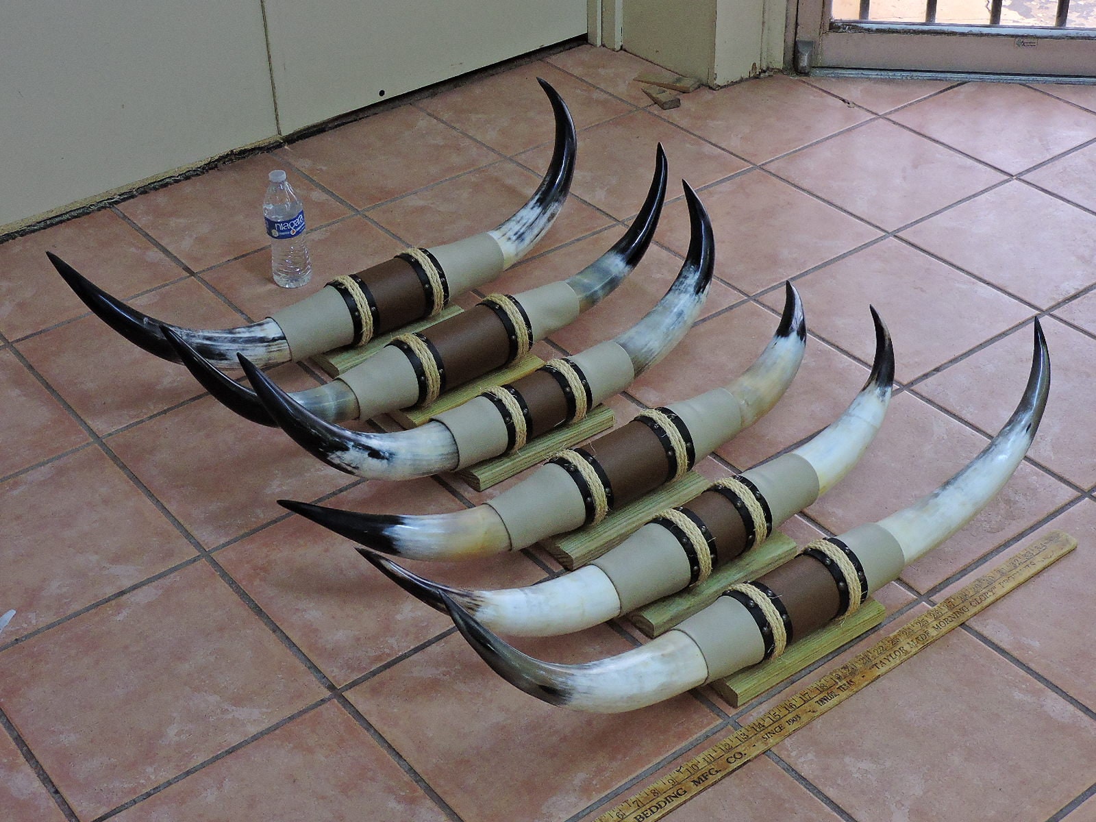 Steer Horns 2'6 2'11 Mounted LONGHORN Etsy