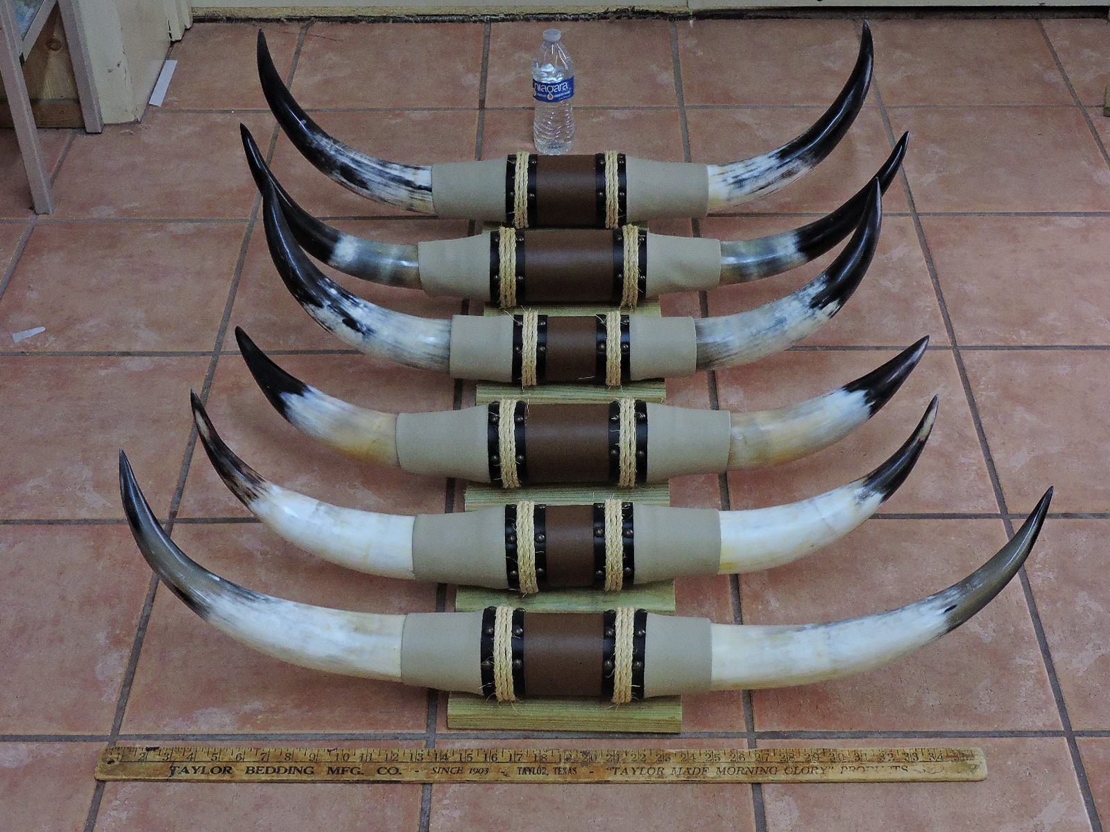 Steer Horns 2'6 2'11 Mounted LONGHORN Etsy UK