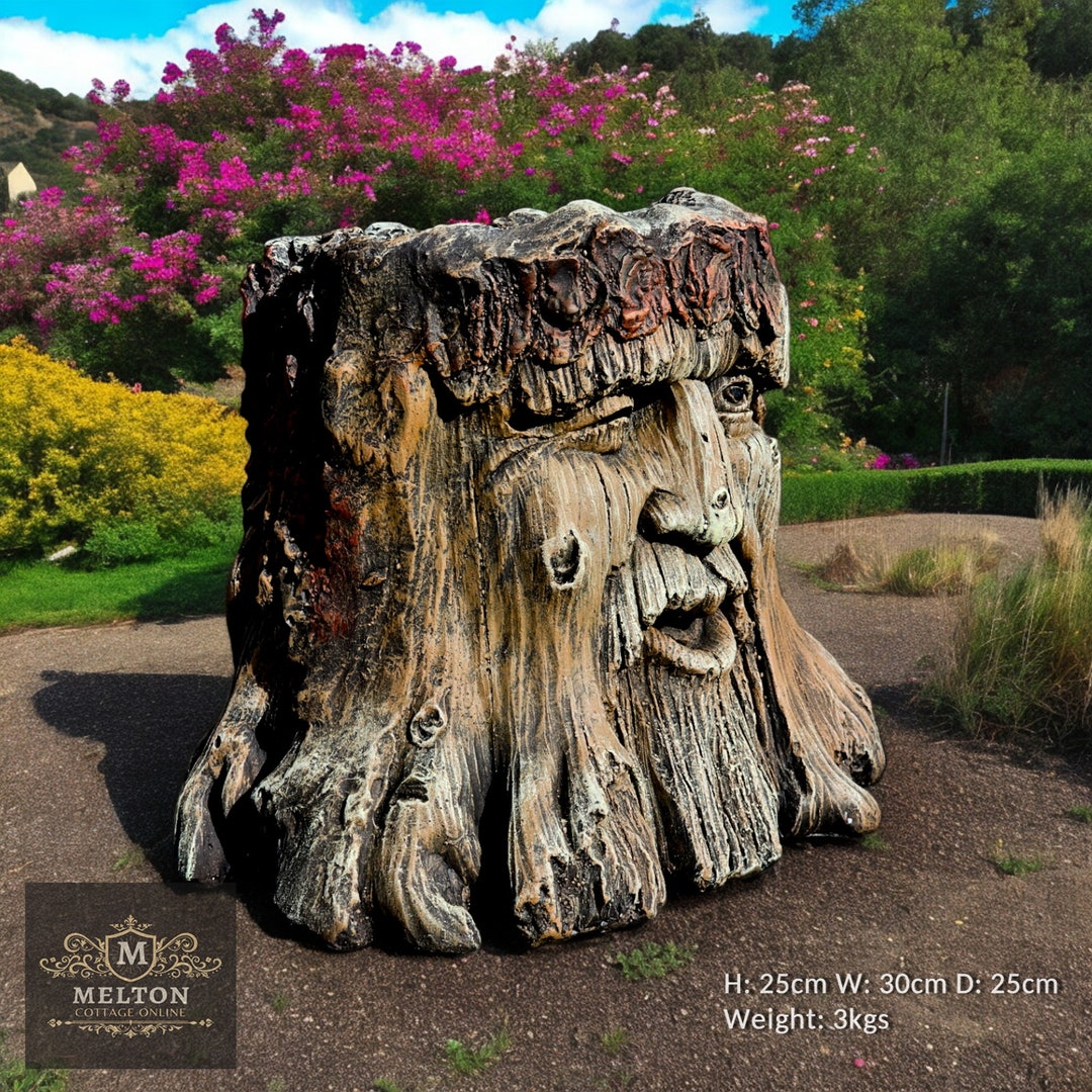 Quirky Tree Man Face Planter, Rustic Garden Pot, Pagan Decor, Woodland ...