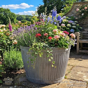 May include: A large, weathered metal planter overflowing with vibrant flowers, such as lavender, geraniums, and delphiniums. The planter measures 35cm high, 46cm wide, and 46cm deep, and weighs 1.50kg. The garden setting includes a bench and stone wall.
