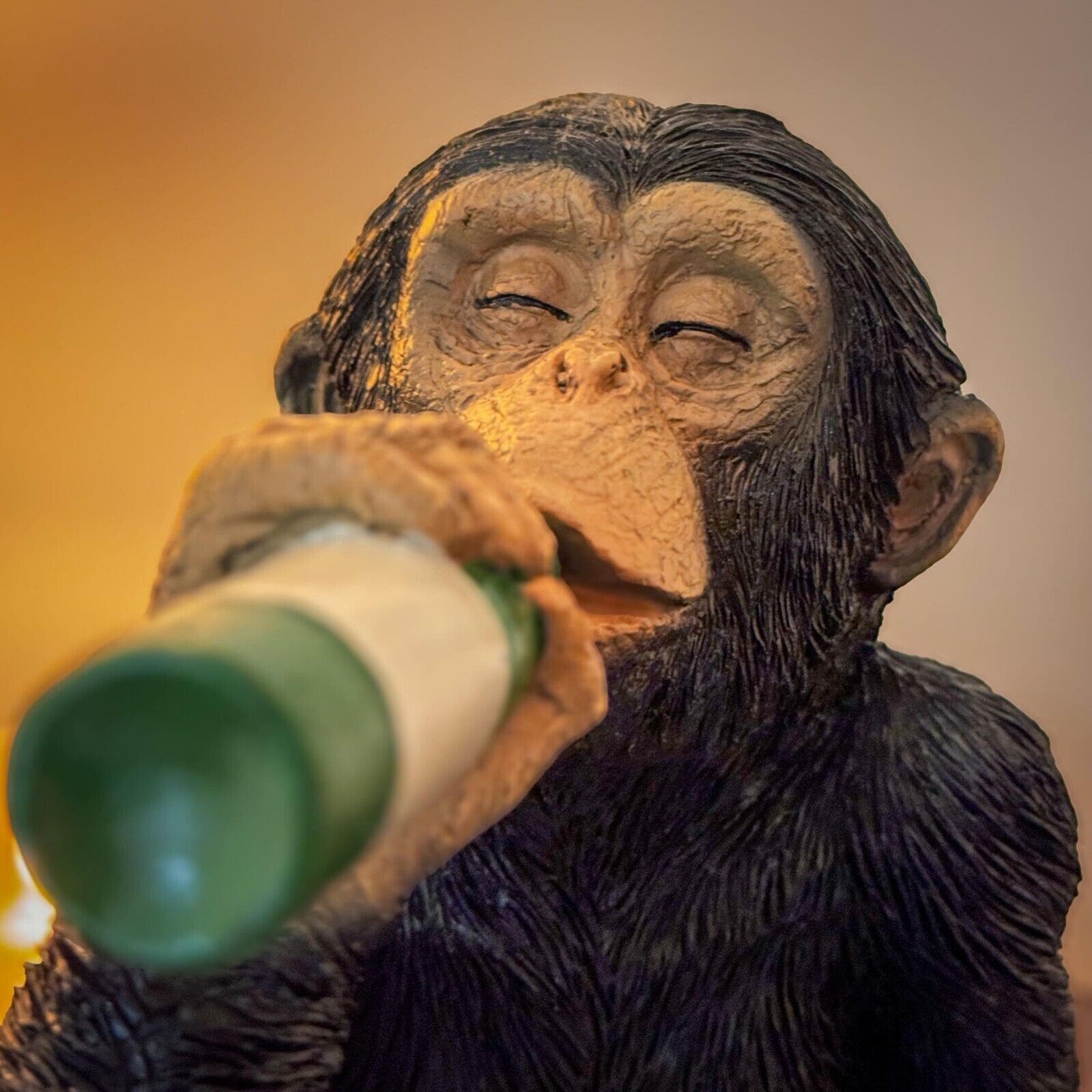 Les Chimpanzés, Consommateurs De Vin De Palme - Selon Une étude Britannique