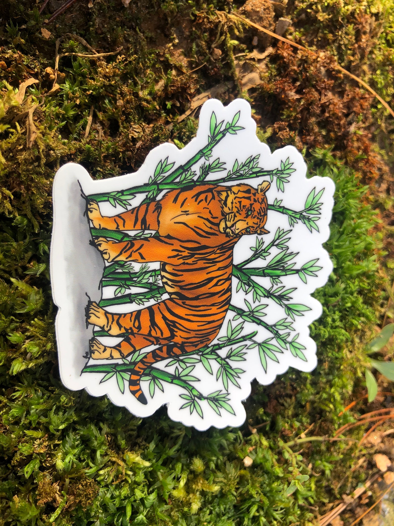 The Tiger Queens by Stephanie Marie Thornton The Tiger Queens by Stephanie Marie Thornton