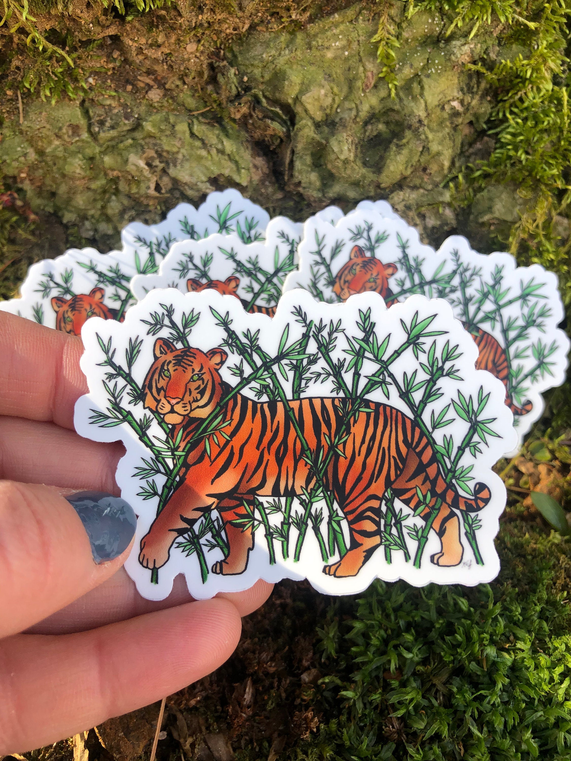 The Tiger Queens by Stephanie Marie Thornton The Tiger Queens by Stephanie Marie Thornton