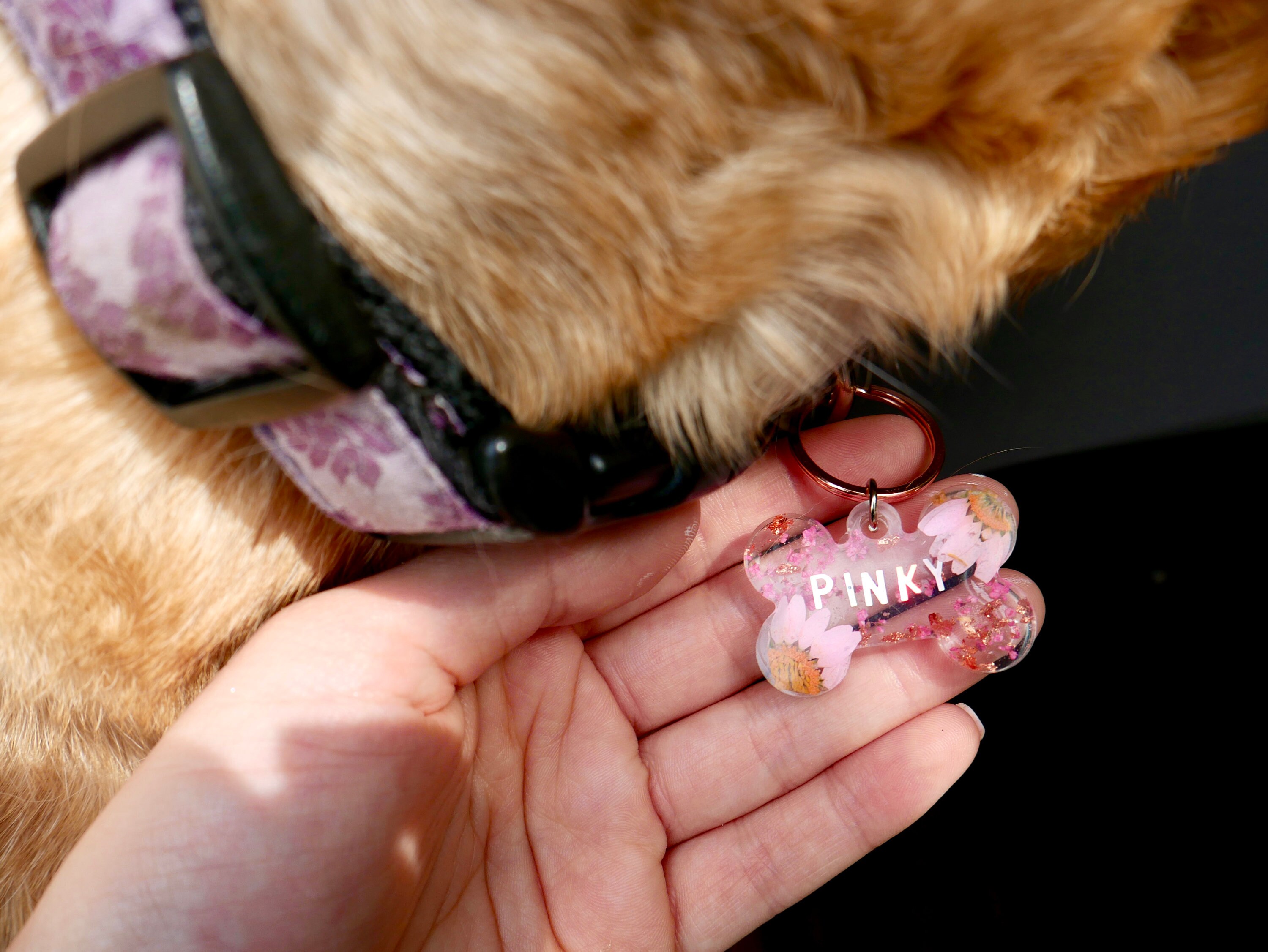 Custom Dog Tags Etsy