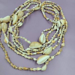 May include: A multi-strand necklace composed of various seashells in shades of cream, tan, and brown. The necklace features a mix of small, round shells and larger, oval-shaped shells, creating a layered effect. The background is a solid purple.